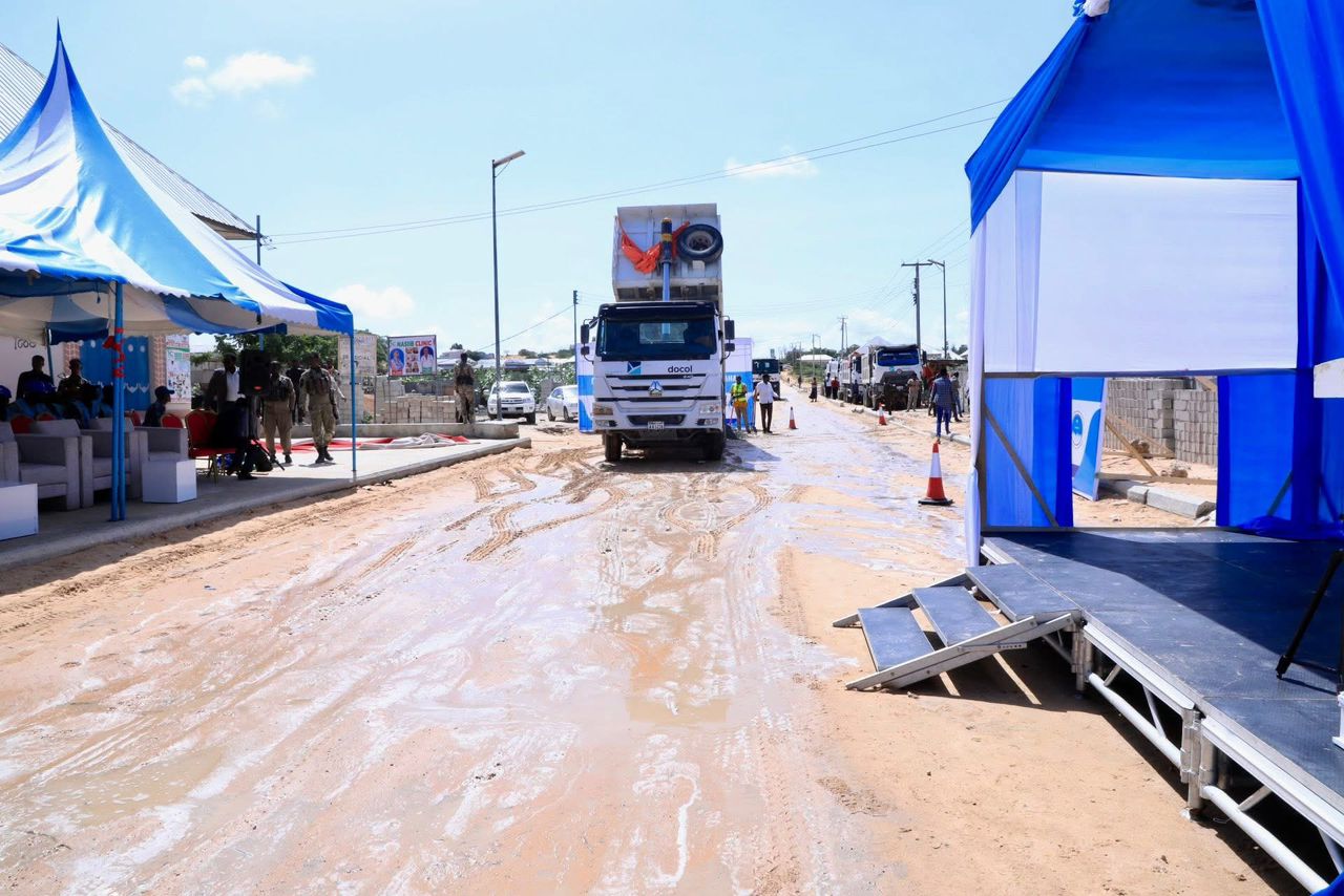 Project 7 - Flyer Design